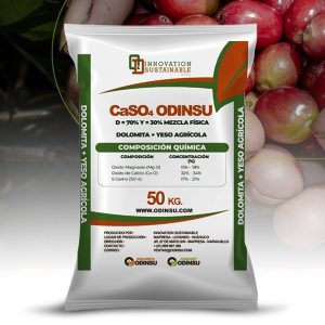 DOLOMITA + YESO AGRÍCOLA - ODINSU